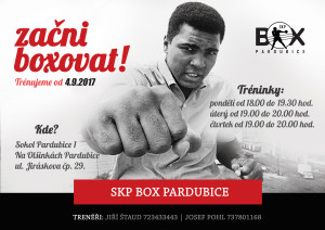plakat_box_2017