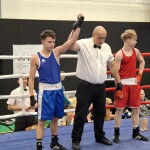 Národní liga boxu Říčany