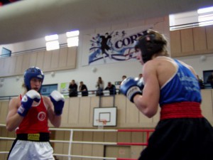 konik1