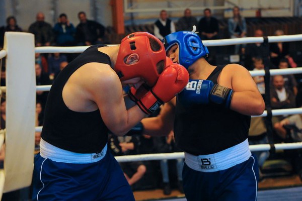 Galaodpoledne boxu Trutnov